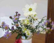 Film and Afternoon Tea 14th October 2023