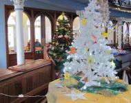 Star Festival November 19th & 20th 2024