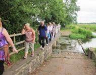 Action for Children Walk 25th June 2017