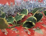 Christmas Lunch 14th December 2023
