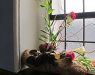 Flower Festival 5th July 2025